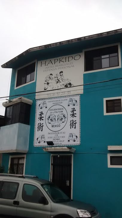 Lonngi Martial Arts Academy / Carlson Gracie BJJ Mexico